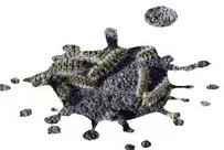 Tala y poda en altura de árboles en Tarragona y Provincia