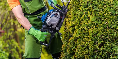 Tala y poda en altura de árboles en Tarragona y Provincia