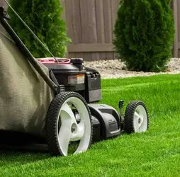 Tala y poda en altura de árboles en Tarragona y Provincia