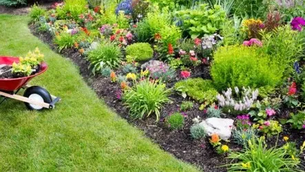 Tala y poda en altura de árboles en Tarragona y Provincia