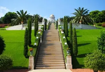 Tala y poda en altura de árboles en Tarragona y Provincia