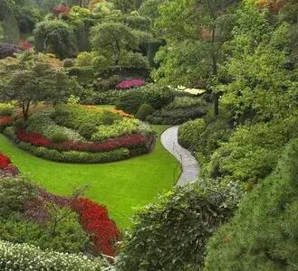Tala y poda en altura de árboles en Tarragona y Provincia