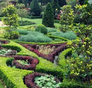 Tala y poda en altura de árboles en Tarragona y Provincia